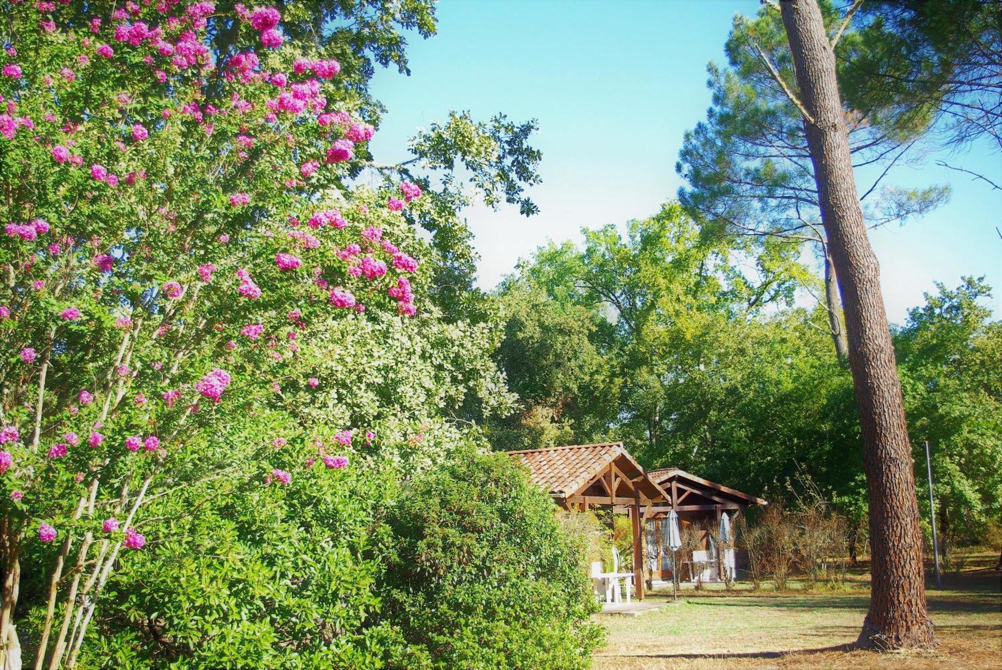 Les Chalets Du Gelat, Nature Et Calme Noaillan Εξωτερικό φωτογραφία